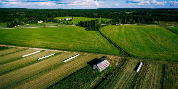 Estudios de suelos agrícolas en Osona